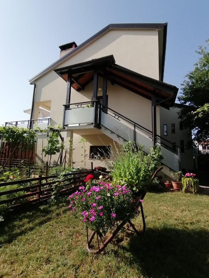 Appartement Jasna *